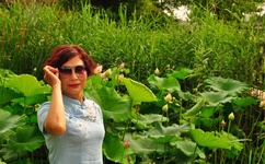 精品国产人成亚洲区